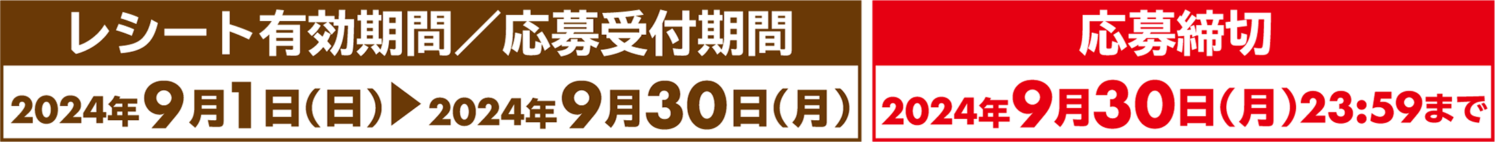 レシート有効期限/応募受付期間　応募締切