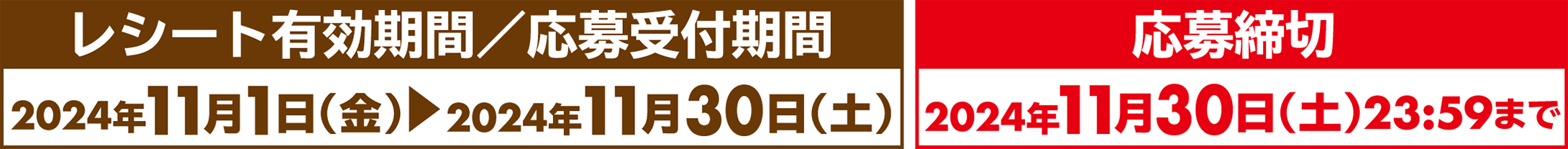 レシート有効期限/応募受付期間　応募締切